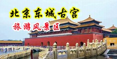 WWwww日BB中国北京-东城古宫旅游风景区